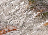 Knapp and Papermill Abstract Weir_DSC_2518.jpg