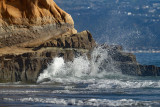 TORREY PINES STATE NATURAL RESERVE SCENIC