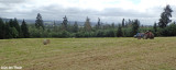 House parcel 017961004002