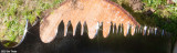 Z99A9480a2.jpg
