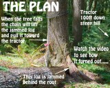 The Plan