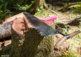 A cut off Simonds Royal Chinook saw with Ergonomic handle