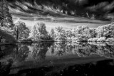 D800 UV-VIS-IR