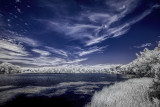 D800 UV-VIS-IR