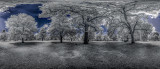 _DSC0318 Panorama.jpg