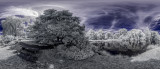 _DSC3779_Panorama.jpg