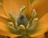 2020-04-07-16.05.08 ZS PMax.jpg