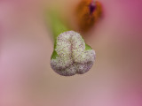 2022-02-04-16.27.57 ZS PMax.jpg