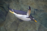 IMG_0151w.jpg