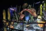 Creatures of the Burgess Shale