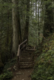 Old Stone Stairs