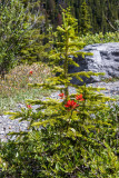 IMG_0410w.jpg
