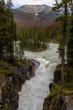 IMG_0451w.jpg