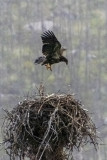 IMG_0665w.jpg