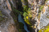 IMG_0752w.jpg