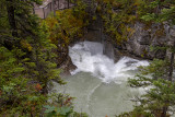 IMG_0758w.jpg