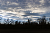 IMG_1558w.jpg