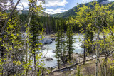 Elbow Falls