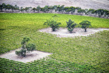 South Australia