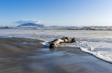 14 April 2020 - high tide at the Beach, water was a bit dirty from recent rain