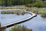 16 October 2022 - A quick trip up to Hastings, stopped by the Pekapeka wetlands to stretch the legs