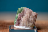 Brown Derby Mine Bicolor Tourmaline