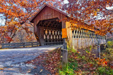 STATE ROAD BRIDGE-5305.jpg