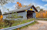 DOYLE ROAD COVERED BRIDGE_2672-r.jpg