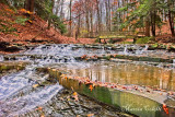 BRIDAL VEIL WATERFALL_3408-.jpg