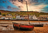 TARBERT HARBOR AT LOW TIDE_7746.jpg