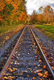The AUTUMN JOURNEY 3760.jpg