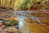 BRANDYWINE WATERFALL CREEK 1442.jpg