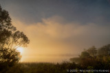 One Hundred Views of a Lake