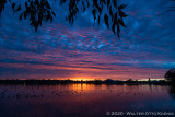 One Hundred Views of a Lake