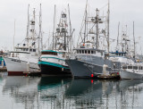 Commercial Fishing