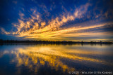 One Hundred Views of a Lake
