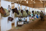 Del Mar Race Track