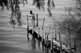 Fishing on Lake Atitlan