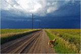 Saskatchewan