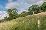 Baldovan, Angus