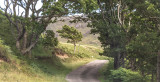 In Ardnamurchan