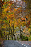 Loch Achray-side road