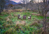 Great place for a picnic