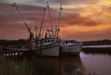 boats