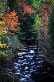 Smoky Mountains