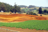 Admired art in Makers, looked for penguins in burrows out back, took Crawn Motors' Scenic Surrounds tour. Gorgeous country.