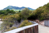 Wai-o-tapu is in a beautiful area with great paths & signage. 