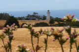 Australia Cruise - Burnie, Tasmania & Melbourne First Visits Jan. 2020