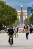 Jardin des Tuileries 151221