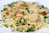 Scallops over Risotto with Lemon Butter Sauce